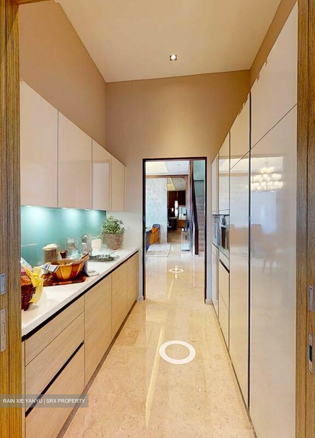 Shenton Way (D1), Condominium #461886261